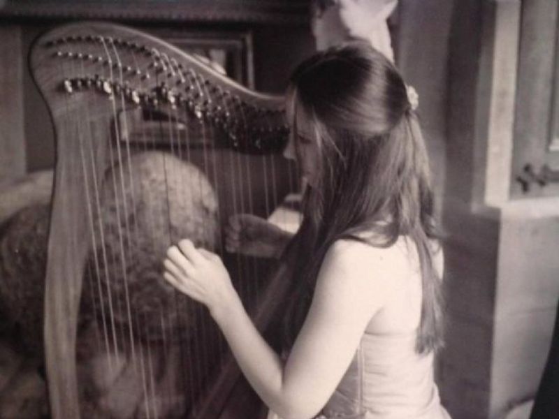 susan harpist